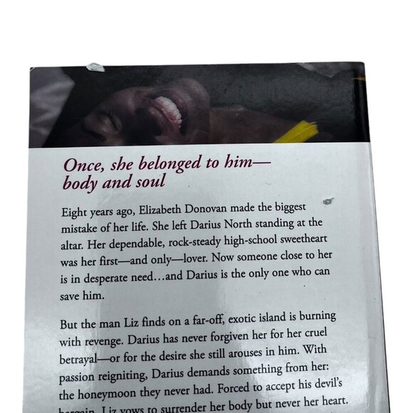 His Perfect Match By Elaine Overton 2009 Paperback Romance Novel Kimani Press - Picture 13 of 15